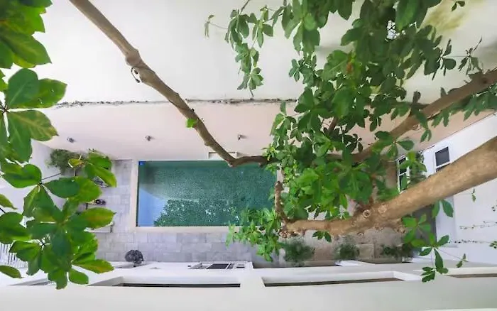 Almond Apartamento Playa del Carmen